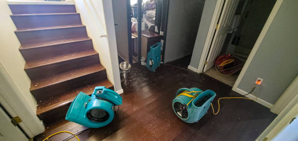 Best Flood restoration services  in Pikeville, KY