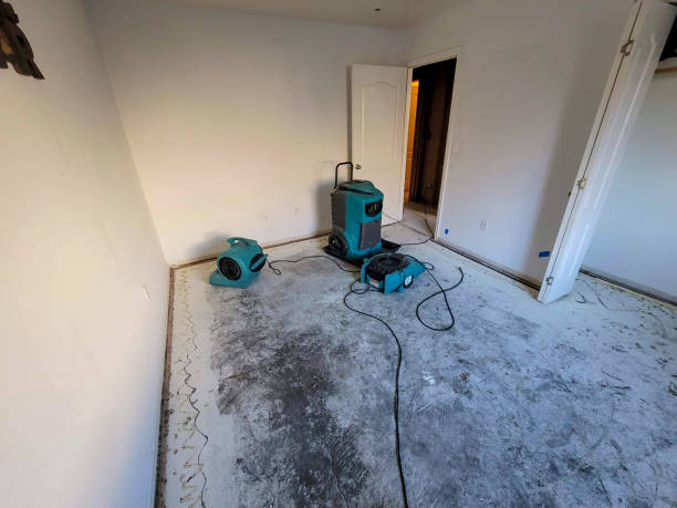 Best Ceiling water damage repair  in Pikeville, KY