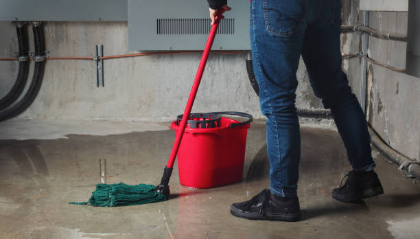 Best Water damage restoration cost  in Pikeville, KY