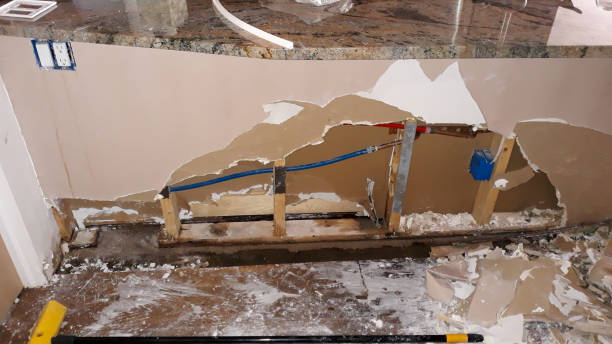 Best Mold removal after water damage  in Pikeville, KY