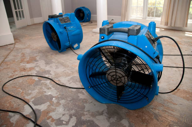 Best Professional water damage repair  in Pikeville, KY