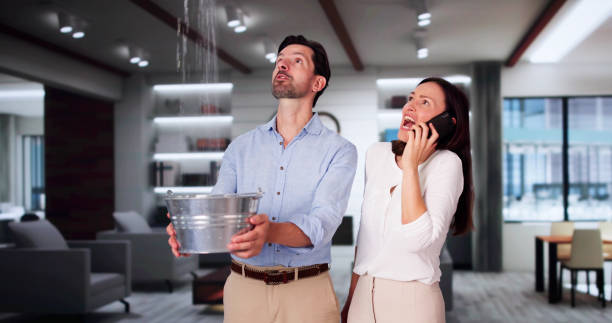 Best Water damage cleanup near me  in Pikeville, KY